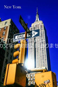 yAJ̊όn|XgJ[hAIRzuNew YorkvGpCAXeCcr̗t͂nKL@photo by MIRO