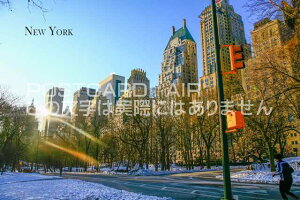 yAJ̊όn|XgJ[hAIRzuNew Yorkvj[[NZgp[N̗t͂nKL@photo by MIRO