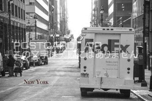 yAJ̊όn|XgJ[hAIRzuNew YorkvFedEx̗t͂nKL@photo by MIRO