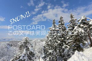 y|XgJ[hzuSNOW!vR̃nKL@photo by MIRO