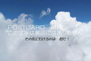 y|XgJ[hzu̐ɍŝ́ANṽnKL@photo by MIRO