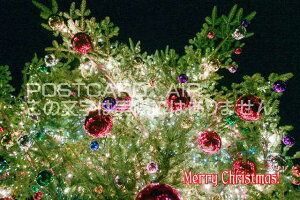 y|XgJ[hzuMerry Christmas!vNX}Xc[̃nKL@photo by MIRO