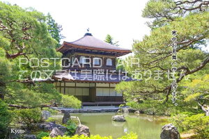 yG߂̈A|XgJ[hzu\グ܂Bvstt߂̃nKL@photo by MIRO