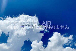 yȃ|XgJ[hzuN͊撣낤Iv_Ƌ̗t@nKL@photo by MIRO