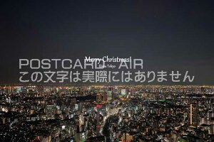 �y�N���X�}�X�J�[�h�z�uMerry Christmas Ebisu, Tokyo�v�̗t���@�n�K�L�@photo by MIRO