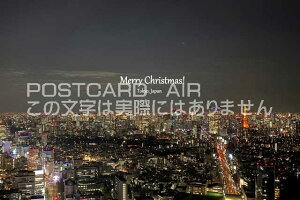 �y�N���X�}�X�J�[�h�z�uMerry Christmas Tokyo Japan�v�̗t���@�n�K�L�@photo by MIRO