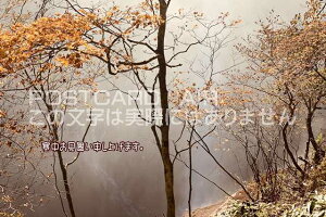 yG߂̈A|XgJ[hzu\グ܂v̗̑t@nKL@photo by MIRO