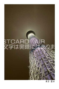 yόñ|XgJ[hzu@ncvXJCc[t߂̗t@nKL@photo by MIRO