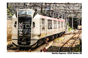 yS̃|XgJ[hzuNarita Express E259 Series JRvJRcGNXvXE259n̗t@nKL@photo by MIRO