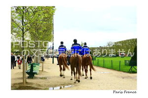 yCÕ|XgJ[hzuParis FrancevtXp@3̔nƌx@t@nKL@photo by MIRO