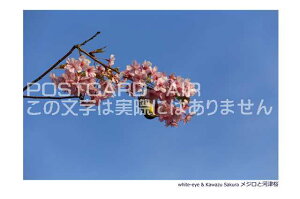 y{̕i|XgJ[hzuN700 Seriese & Mt.Fuji VN700nƕxmRv̗t@nKL@photo by MIRO