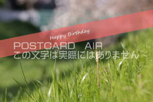 yâj|XgJ[hzuHappy Birthdayv̗tnKL@photo by MIRO