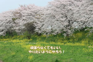 yC`|XgJ[hzFԂƍ̖ u撣ȂĂB肽悤ɂ낤vtnKL yY@photo by MIRO