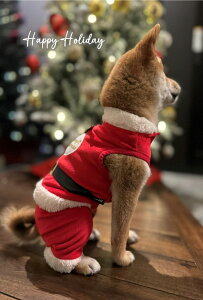 yNX}X̃|XgJ[hz}Vo̎qT^ uMerry Christmas & Happy New YearvtnKL yY@photo by MIRO