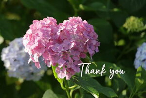 yӂ`|XgJ[hzn[ǧ` sNF z uThank youvtnKL yY@photo by MIRO