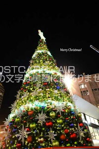 yNX}X̃|XgJ[hzuMerry ChristmasIvVh̑傫ȃNX}Xc[̃|XgJ[hGt͂