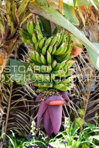 y`zC[X^[oiî͂nKLt Be/photo by SHIGERU MURASHIGE