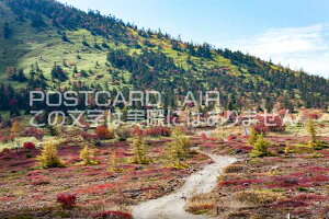 y{̕i|XgJ[hzQnÔR̂͂nKLt Be/photo by SHIGERU MURASHIGE