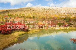 y{̕i|XgJ[hzQnÔR̂͂nKLt Be/photo by SHIGERU MURASHIGE