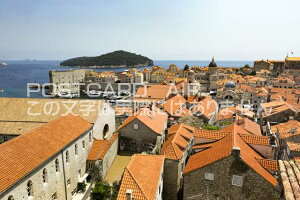 yNA`A̕i|XgJ[hzhuujN̂͂nKLt Be/photo by SHIGERU MURASHIGE