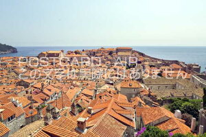 yNA`A̕i|XgJ[hzhuujN̂͂nKLt Be/photo by SHIGERU MURASHIGE