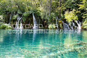 yNA`A̕i|XgJ[hzvgBbcFΌQ̂͂nKLt Be/photo by SHIGERU MURASHIGE