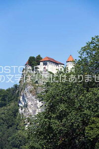 �y�X���x�j�A�̕��i�|�X�g�J�[�h�z�u���b�h�΃u���b�h��̂͂����n�K�L�t�� �B�e/photo by SHIGERU MURASHIGE