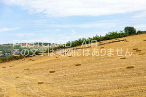 ygR̕i|XgJ[hAIRzgRCX^u[CX^u[ߍx̂͂nKLt Be/photo by SHIGERU MURASHIGE