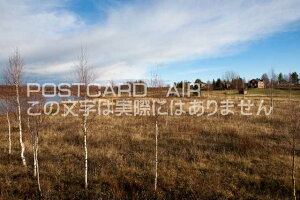 ytBh̕i|XgJ[hzbvhĤ͂nKLt Be/photo by SHIGERU MURASHIGE