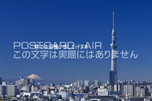 ͂y|XgJ[hzu\グ܂vXJCc[ƕxmR̂镗i̗t ͂nKL