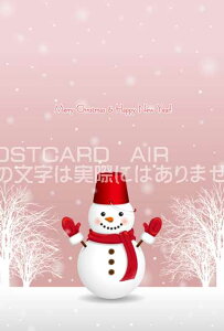 yG߂̈A|XgJ[hzuMerry Christmas & Happy New Year v ̗t͂nKL@ȃ|XgJ[h@NENX}XJ[h