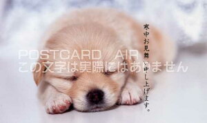 yG߂̈A|XgJ[hzu\グ܂v킢q̃|XgJ[ht͂nKL