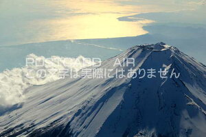 y{̕i|XgJ[hz󂩂猩xmR@Ă̋B@nKL͂Gt