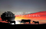 【アフリカポストカード】動物と大地　朝焼けの中走る馬　夕焼けの葉書ハガキ