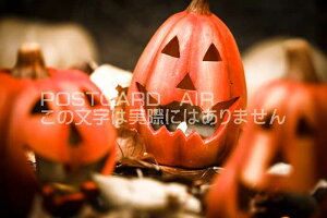 ハロウィン ポストカード グリーティングカードの人気商品 通販 価格比較 価格 Com ハロウィン ポストカード グリーティングカードの人気商品 通販 価格比較 価格 Com
