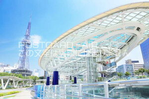 y̔{̕i|XgJ[hzmÉs@ÉerƃIAVX21nKL͂Gt