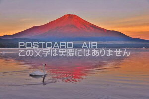 y{̕i|XgJ[hz閾̐ԕxmƌΔȂ̐@EY̎R̃nKL͂Gt