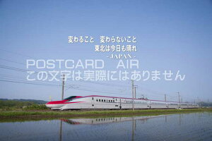 y|XgJ[hAIRzuς邱 ςȂ k͍ japanvVnKL͂Gty̔z