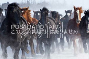 yN2014zu2014vnKL͂Gty̔z