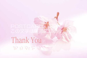 ytœ`|XgJ[hAIRzuThank You yéz肪Ƃvt̉ԍ̂͂ Gt