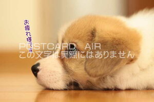 ytœ`|XgJ[hAIRzulłvq̗t͂nKL