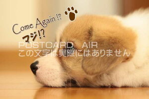 ỹ|XgJ[hAIRzuCome Again ? }W ?vpœ`錢̗tE͂EnKL