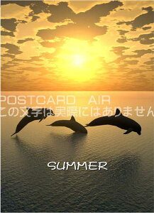 yEẴ|XgJ[hzuSUMMER]3̃CJWv [̗tE͂EnKL