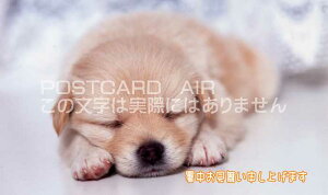 yĂ̈A|XgJ[hzu\グ܂vQĂq(Ԃ)̃nKL͂Gt