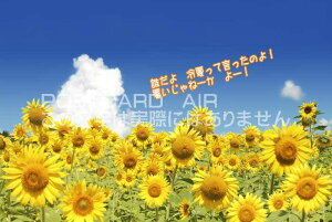 yẴ|XgJ[hzuN ĂČ̂ ˁ[ [ vЂ܂̃nKL͂Gt