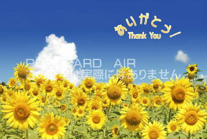 yĂ̌|XgJ[hzu肪Ƃ Thank youvЂ܂̃nKL͂Gt