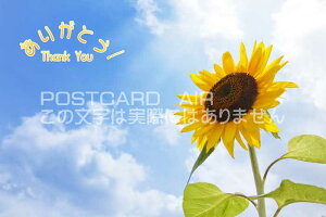 yĂ̌|XgJ[hzu肪Ƃ Thank youvЂ܂̃nKL͂Gt