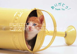 y芴ӌ|XgJ[hzu肪Ƃ Thank youv˂qL̃nKL͂Gt