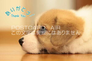 y芴ӌ|XgJ[hzu肪Ƃ Thank youvq ̃nKL͂Gt