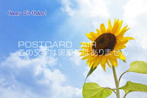 ya|XgJ[hzuHappy Birthday v Ђ܂̃nKL͂Gt
